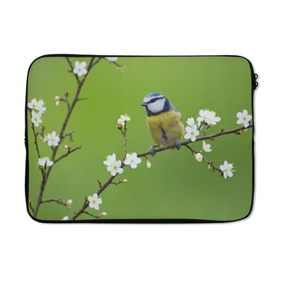 Produktbild von MuchoWow® Laptop Hülle 13 Zoll Blaumeise - Zweig - Blumen - Blühende Zweige - Vogel Laptoptasche - Laptophülle - Sleeve - Rundumschutz