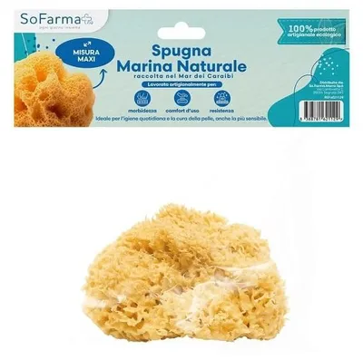 Produktbild von Natürlicher Meeresschwamm, Größe Maxi, von Sofarmapiu