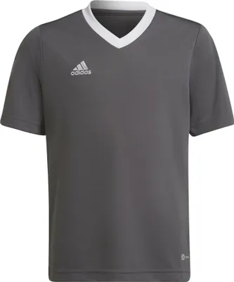 Produktbild von adidas Entrada 22 Trikot Kinder tegrfo 164