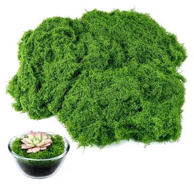 Produktbild von 150g Künstliches Moos, Kunstmoos für Bastelarbeiten, Deko Moos Grün, Fake Moos zur Dekoration von Wand, Tisch, Krippe, Modellbau, Hochzeit, Ostern, Weihnachtsdeko (Hellgrün)