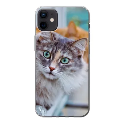 Produktbild von MuchoWow® Handyhülle Schutzhülle Hülle für iPhone 12 mini Katze - Fenster - Katzen Silikon Softcase Handy Hülle - Bild