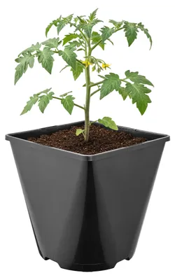 Image de Garronda, lot de 5 pots en plastique de forme carrée aux angles arrondis, avec trous de drainage, pour le jardin (noir, 15,7 x 15,7 x 16 cm (3 L)) GD-KW-SR