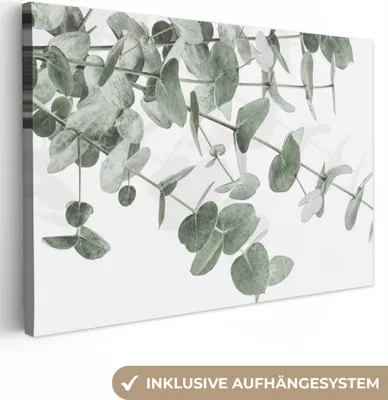 Obrázok produktu pre MuchoWow® - Plátno - Eukalyptus - Listy - Príroda - Zelená, nástenná maľba, nástenné dekorácie obrazy obývacia izba, 120x80cm