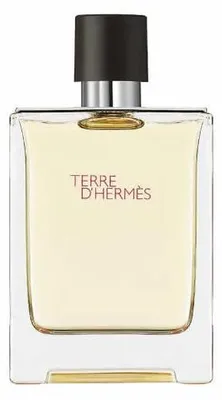 Produktbild von Hermes Terre D'Hermes Eau De Toilette Spray 100ml
