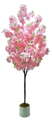 Immagine prodotto di Albero di ciliegio artificiale - Pianta da interno in vaso, altezza 180 cm - Fiori in poliestere dal aspetto realistico - Decorazione per casa, ufficio e matrimoni - 1 albero - Colore rosa