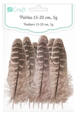 Obrázok produktu pre Kačacie pierka 15 - 20 cm, 5 g