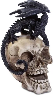 Produktbild von Drache sitzt auf Totenkopf