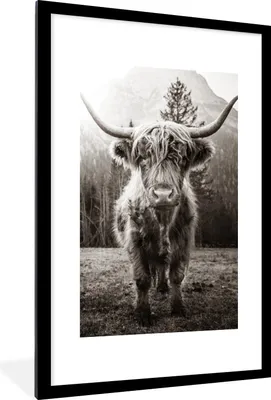 Produktbild von MuchoWow® Gerahmtes Poster Schottischer Highlander - Tiere - Schwarz - Weiß 60x90 cm - Poster mit Schwarzem Bilderrahmen Wandposter Rahmen Foto Bilder - Dekoration - Wandposter Wohnzimmer - Hochwertig