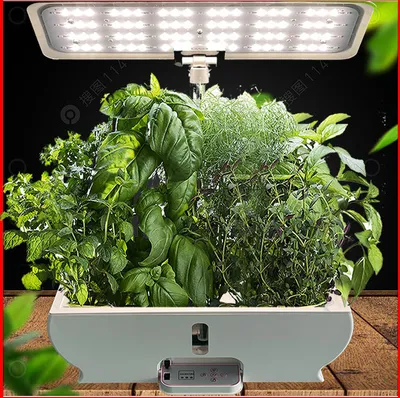 Image de Système de culture hydroponique avec éclairage de croissance LED Minuteur Kit de jardinage intérieur 9 herbes, Weiß