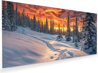 Produktbild von Glasbild 100x50cm in XXL für Wohnzimmer, Schlafzimmer Motiv Winter Sonnenuntergang