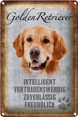 Produktbild von Blechschild Spruch 18x12cm Golden Retriever Hund