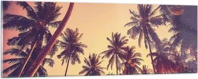 Produktbild von Bilder auf glas - Einteilig - Palmen Himmel Sonne - 90x30cm - Glasbilder - Wandbilder - Bilder - zum Aufhängen bereit - Wanddekoration aus Glas - Glas Bilder - Wandbild auf Glas - GAB90x30-4220