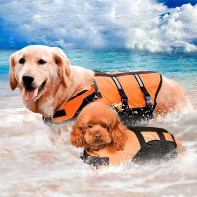 Produktbild von Hunde Rettungsweste, reflektierend, verstellbar, für Schwimmen