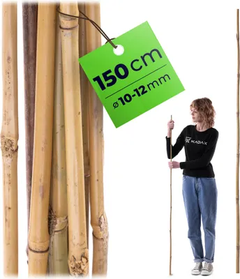 Produktbild von KADAX Bambusstab 150 cm x 12 mm, 1 Stück, Pflanzstab aus Bambus als Rankhilfe für Tomatenpflanzen & Kletterpflanzen, Pflanzenstab für Garten & Gewächshaus