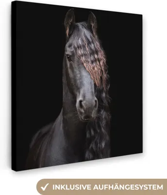 Produktbild von MuchoWow® - Leinwandbilder - Pferde - Friesisch - Mähne - Schwarz - Tiere, Wandbild, Wanddeko Bilder Wohnzimmer, 20x20cm