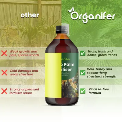 Produktbild von Hanfpalme Flüssigdünger 10L – 2-1-8 NPK – Flüssig-Pflanzendünger für Hanfpalmen – Organifer