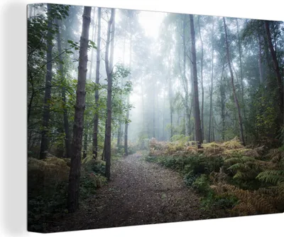 Produktbild von OneMillionCanvasses® - Leinwandbilder - 150x100 cm, Wald - Nebel - Weg, Wandbilder Kunstdruck Wanddekoration