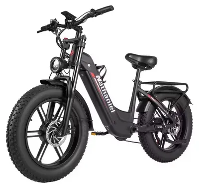 Immagine prodotto di E-mountain bike - Modello SYR08 - Doppio motore da 2000W - Batteria da 48V e 20Ah - Pneumatici "fat bike" da 50,8 x 10,2 cm - 7 rapporti - Freni a disco idraulici - Colore: nero