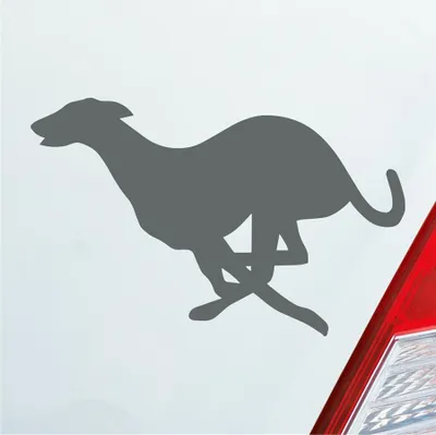 Produktbild von Auto Aufkleber Windhund Hund Dog Animal Tier 12x7,5 cm Grau Sticker Heckscheibenaufkleber