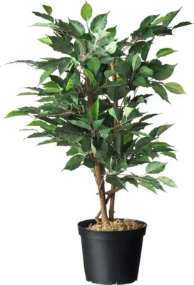 Produktbild von Warentuin Producten