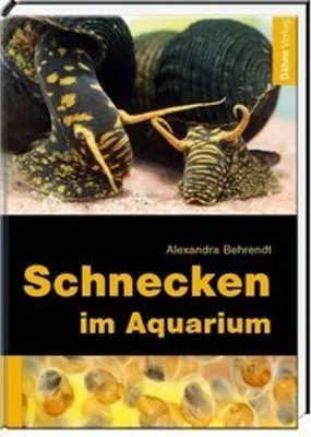 Produktbild von Schnecken im Aquarium
