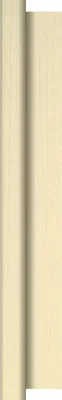 Produktbild von Duni Evolin-Tischdeckenrollen cream 1,20x20 m