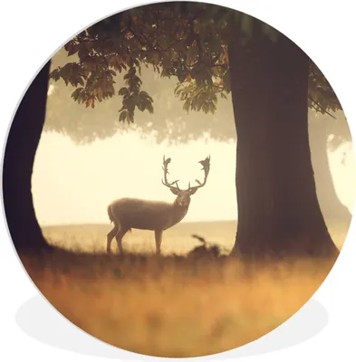 Produktbild von MuchoWow® Rundes Wandbild - Runde Bilder Hirsche - Bäume - Wald Ø 30 cm Kreis Wanddekoration Kunststoff - Wandkreis - Wandschmuck - Schlafzimmer - Bilder - Der Kreis - Kunst für die Wohnung - Plastik - Kunstdruck - Wandbild