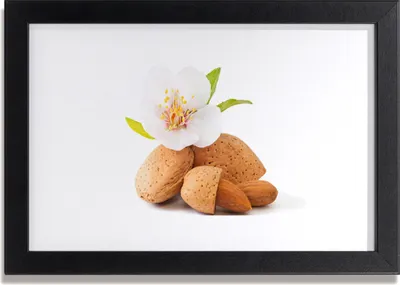 Produktbild von Bild 30x20 MDF-Rahmen Wandkunst Blumen-Pistazie Natur