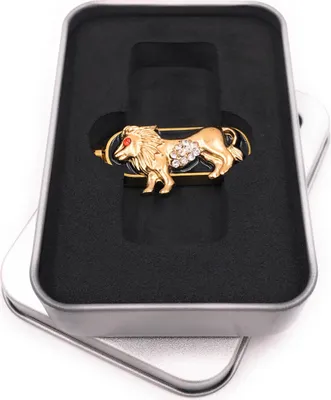 Obrázok produktu pre Onwomania Astro USB kľúč so znamením zverokruhu Lev v hliníkovej darčekovej krabičke 32 GB USB 2.0