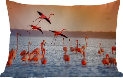 Produktbild von MuchoWow® Outdoor Kissen - Vogel - Flamingo - Wasser - Sonnenuntergang - Rosa - 50x30 cm - Wetterfest - Lounge Kissen - Sofa kissen - Wohnzimmer Dekoration