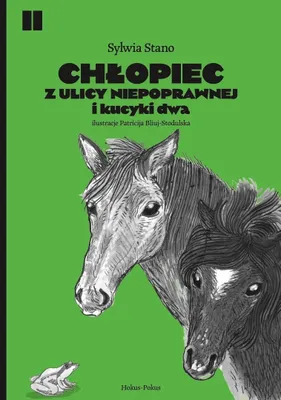 Zdjęcie produktu dla Chłopiec z ulicy Niepoprawnej i kucyki dwa
