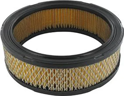 Immagine prodotto di Filtro aria adattabile per Briggs & Stratton øest.: 178 mm: serie 290400, 290700, 294400, 294700, 303400, 303700, 350400, 35070