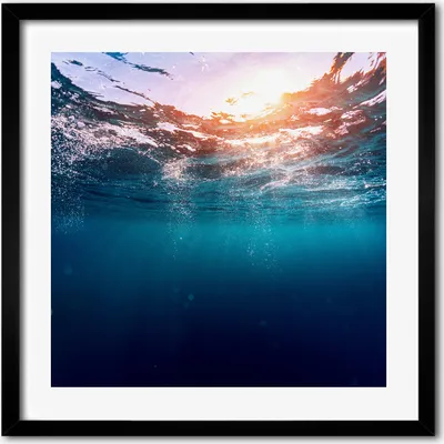 Produktbild von Bild - 50 cm x 50 cm - MDF - Rahmen, Wandkunst - Unterwasserwelt