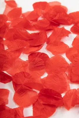 Produktbild von 500 Rosenblätter aus Organza Stoff in Rot