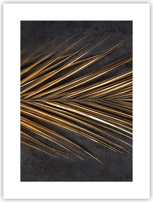 Produktbild von Poster - Poster ohne Rahmen - Blatt golden schwarz - 30x40 cm - Wand Bild - Wanddeko - Wandbilder - Kunstposter - Wandposter - Bilder - Kunstdruck - Wanddekoration - Wandbild - P2XPA30x40-5091