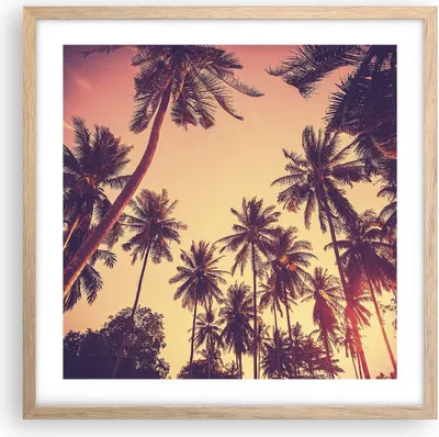 Produktbild von Gerahmtes Poster - Rahmen in heller Eiche - Palmen Himmel Sonne - 50x50 cm - Wand Bild - Wanddeko - Wandbilder - Wandposter - Bilderrahmen - Bilder - Kunstdruck - Wandbild - P2NAC50x50-4220