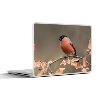 Produktbild von MuchoWow® Laptop Aufkleber Sticker Cover Vogel - Laub - Herbst - Gimpel - 40x30 cm - Laptop Dekoration - Selbstklebend