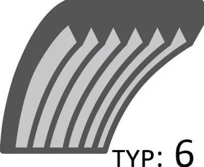Zdjęcie produktu dla Pasek Cedrus wertykulator CEDWE38 300616