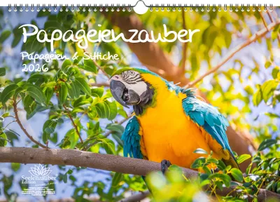 Produktbild von Papageienzauber Papageien und Sittiche DIN A3 Kalender für 2026 - Seelenzauber