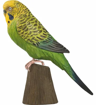 Image de WILDLIFEGARDEN Wildlife Garden WG4810 DecoBird - Perruche ondulée : Oiseau décoratif en bois sculpté à la main - Oiseaux australiens