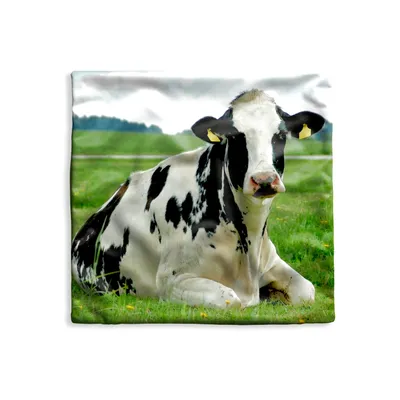 Obrázek produktu pro MuchoWow® Povlak na polštář - 50x50 - Kráva - Tráva - Zvířata - Hora - Dekorační povlak na polštář