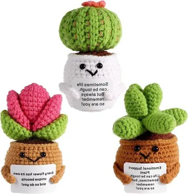 Produktbild von Gehaakte sierplanten-Set aus 3 Stücken für Partydekoration und Motivationsgeschenk