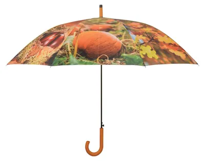 Regenschirm-Herbstmotive-Automatik