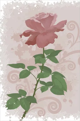 Produktbild von Wallario Poster - Rose in Pastellfarben gezeichnet, Kunstdruck Größe: 100 x 150 cm