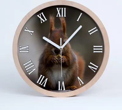 Produktbild von Holzuhr 25fi cm wanduhr - weiße Spitzen - Eichhörnchen