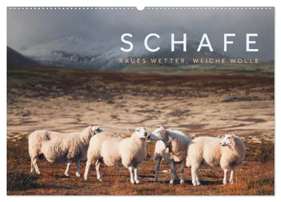 Produktbild von Schafe - Raues Wetter, weiche Wolle (Wandkalender 2027 DIN A2 quer), CALVENDO Monatskalender