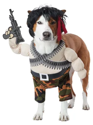 Obrázok produktu pre Kostým Rambo pre psov Veľkosť psa: S