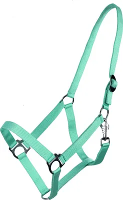 Produktbild von ARBO-INOX® Halfter mit Schiebeschnalle Stallhalfter Basic QHP Größe - Pony Farbe - türkis