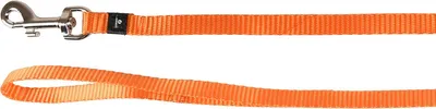Zdjęcie produktu dla Smycz Flamingo Ziggi w kolorze pomarańczowym, wymiary: 130 cm / 10 mm