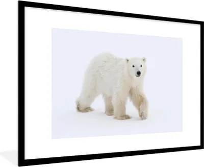 Produktbild von MuchoWow® MuchoWow® Gerahmtes Poster Eisbär - Schnee - Weiß 90x60 cm - Poster mit zchwarzem Bilderrahmen - Wanddekoration - Fotos